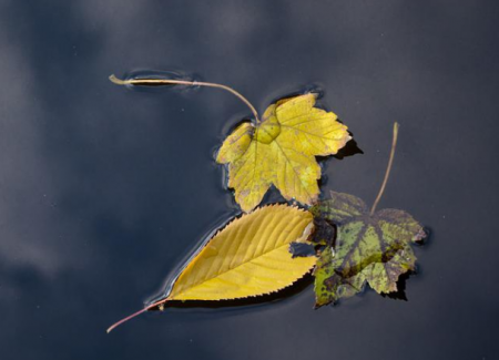 تشرين الأول أي شهر بالإنجليزي